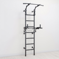 Sprossenwand ClimbMaxx M9 inkl. Dip-Station